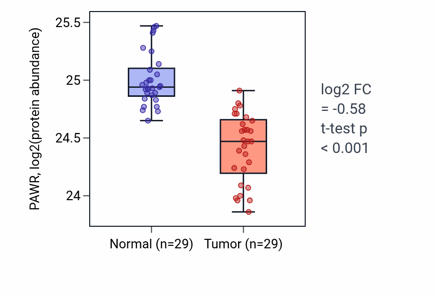 Tumor-vs-normal mass-spec protein box plot for PAWR in CCRCC.