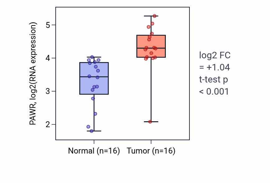 Tumor-vs-normal expression box plot for PAWR RNA in HNSC.