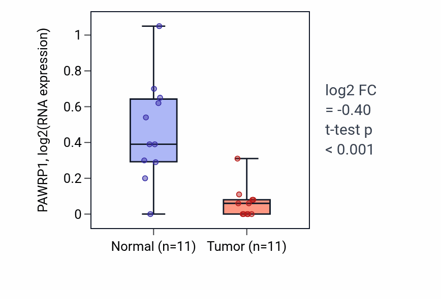 Tumor-vs-normal expression box plot for PAWRP1 in KICH.