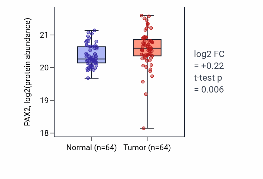 Tumor-vs-normal mass-spec protein box plot for PAX2 in CCRCC.