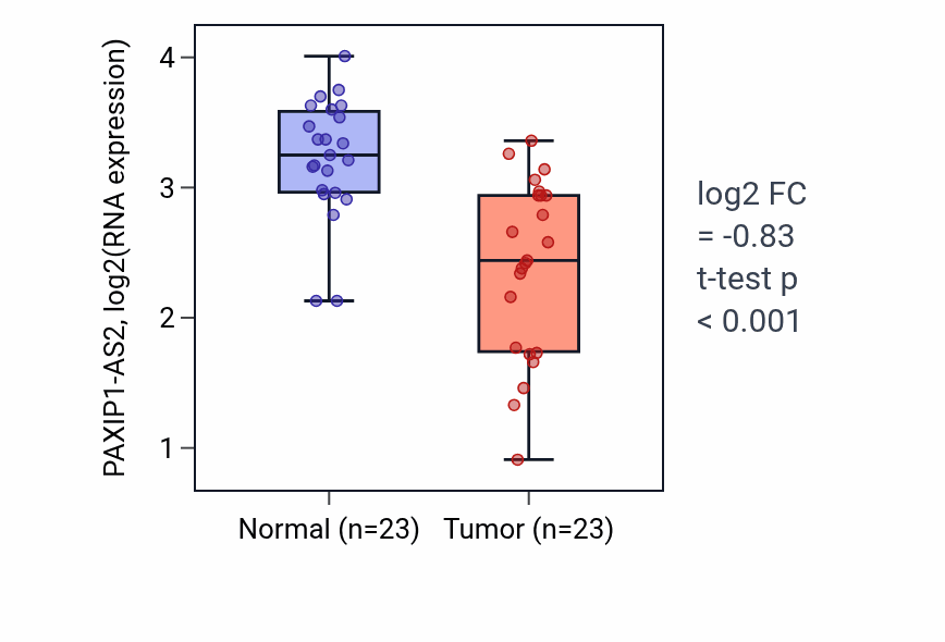 Tumor-vs-normal expression box plot for PAXIP1-AS2 in THCA.