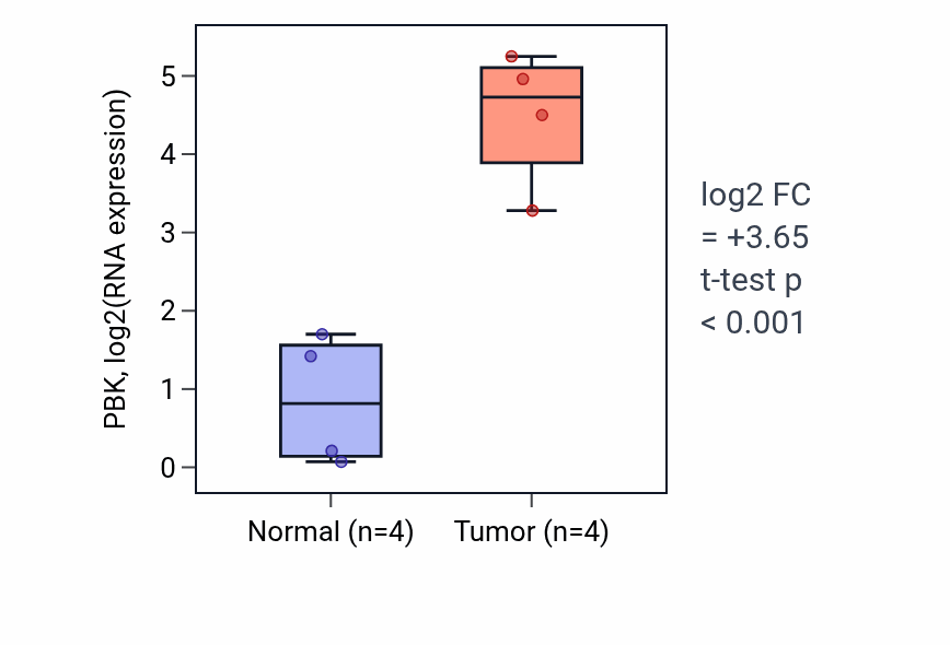 Tumor-vs-normal expression box plot for PBK RNA in BLCA.