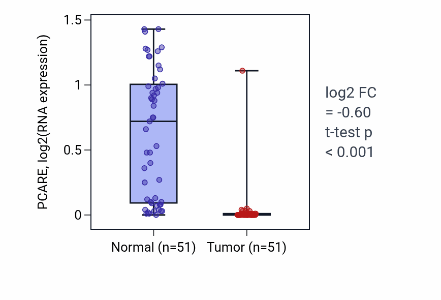Tumor-vs-normal expression box plot for PCARE in KIRC.
