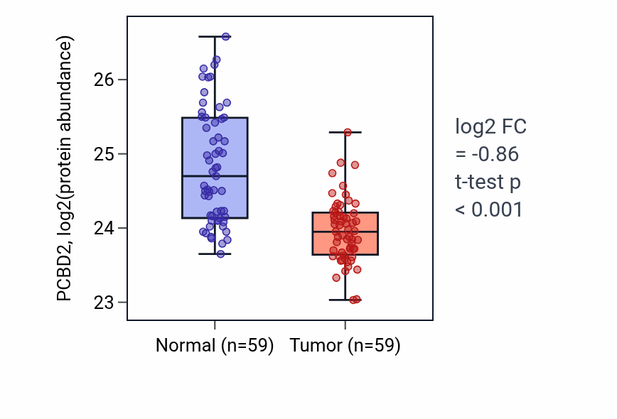Tumor-vs-normal mass-spec protein box plot for PCBD2 in HNSC.