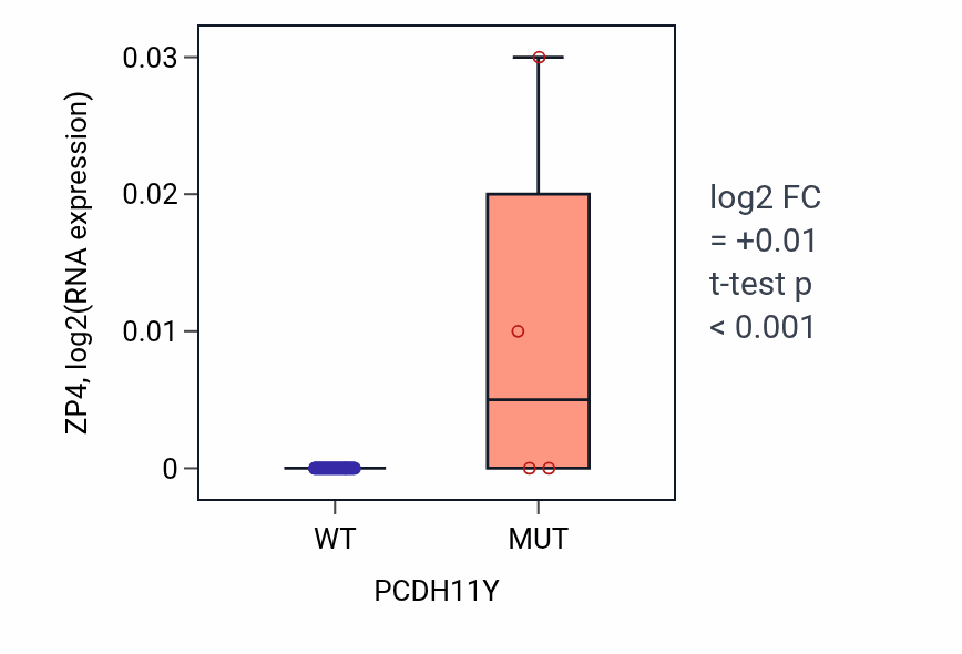 Box plot of ZP4 in PCDH11Y-low vs PCDH11Y-high samples in LUNG_SCLC.