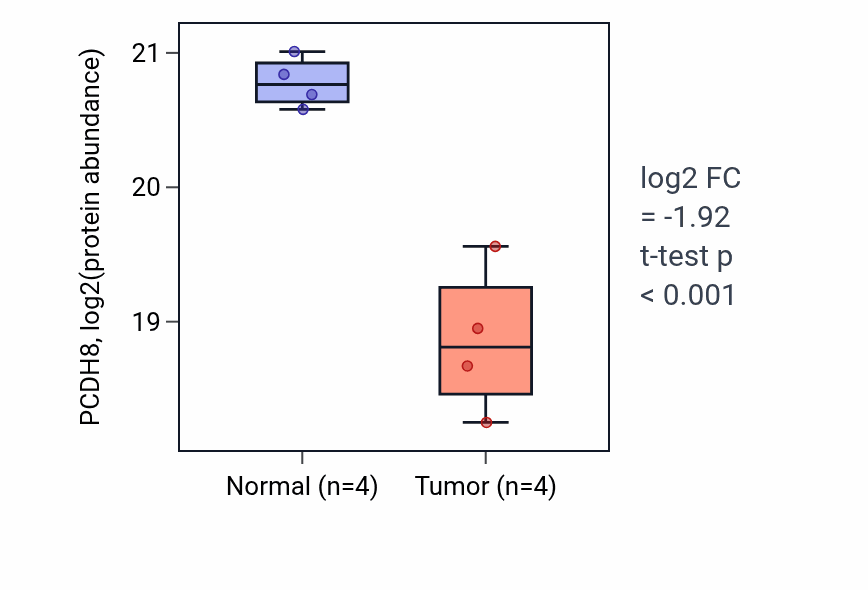 Tumor-vs-normal mass-spec protein box plot for PCDH8 in LSCC.