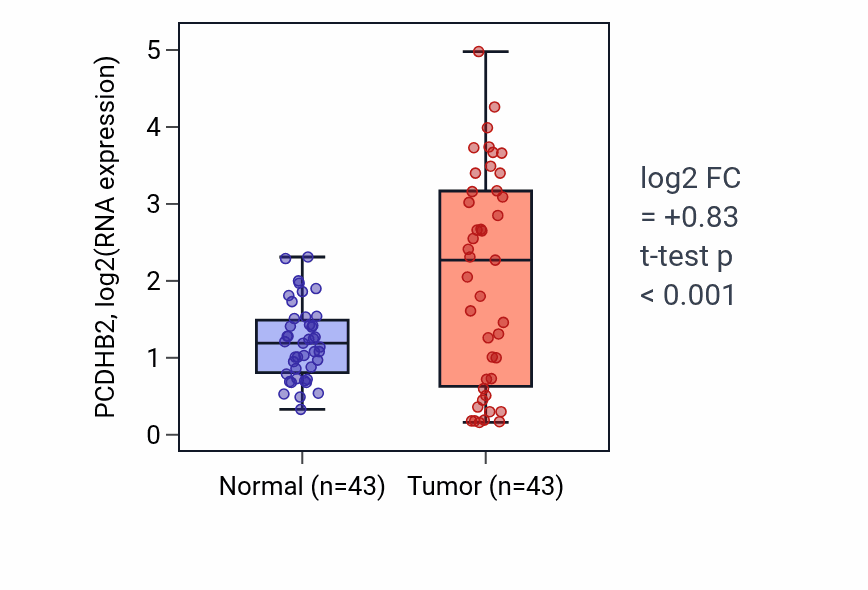 Tumor-vs-normal expression box plot for PCDHB2 RNA in HNSC.