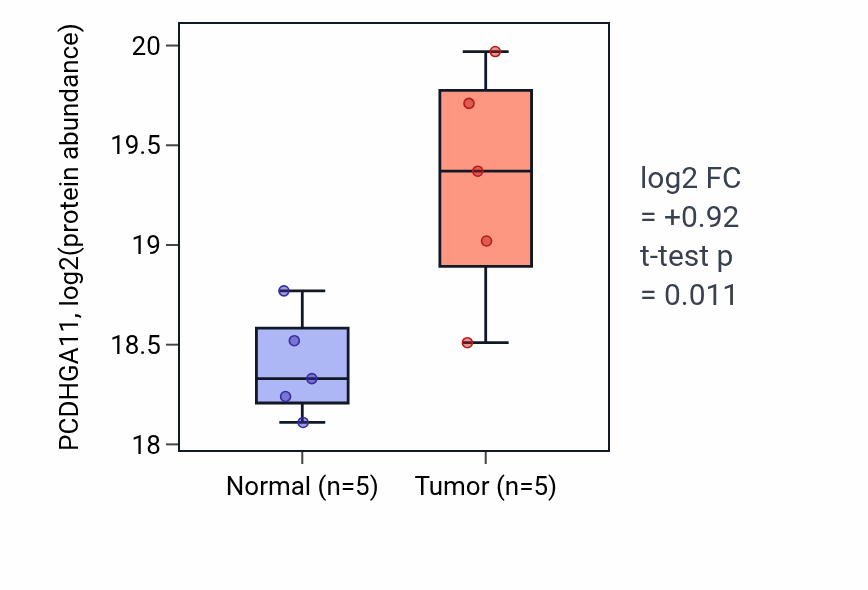 Tumor-vs-normal mass-spec protein box plot for PCDHGA11 in CCRCC.