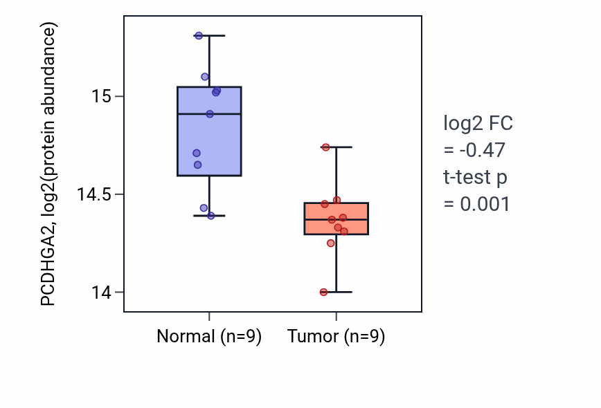 Tumor-vs-normal mass-spec protein box plot for PCDHGA2 in LSCC.