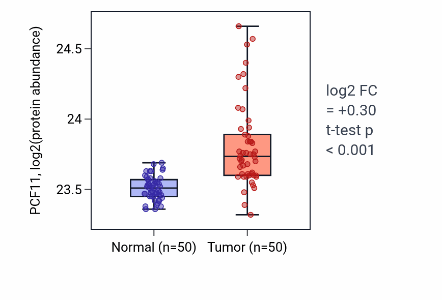 Tumor-vs-normal mass-spec protein box plot for PCF11 in LSCC.