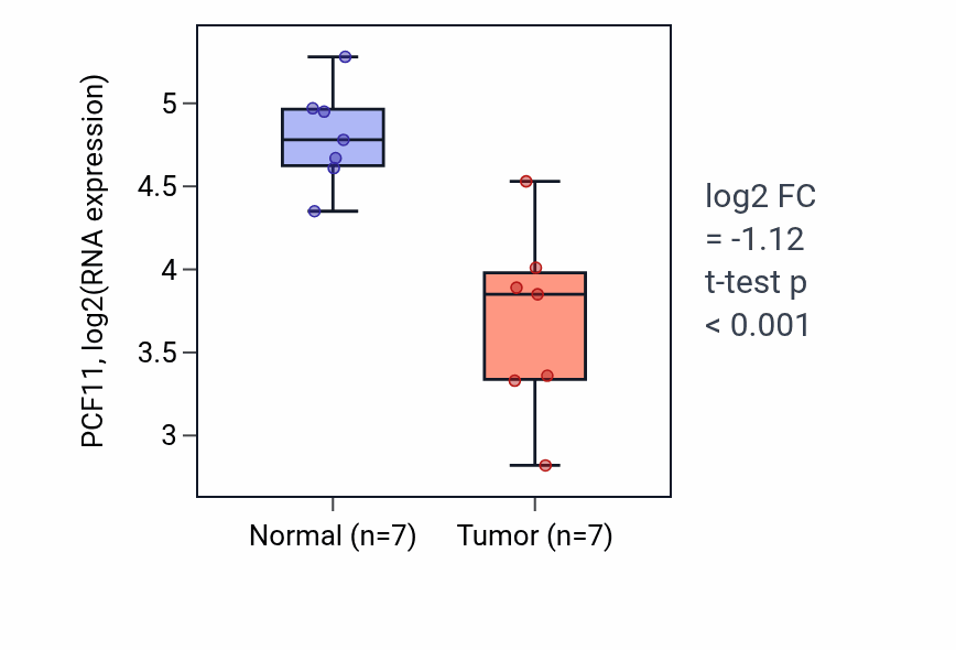 Tumor-vs-normal expression box plot for PCF11 RNA in THCA.