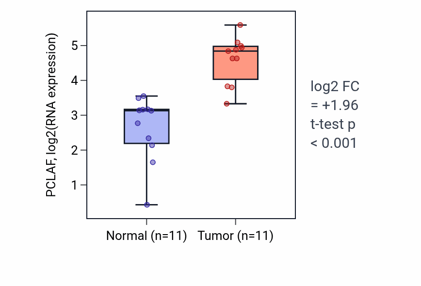 Tumor-vs-normal expression box plot for PCLAF RNA in HNSC.