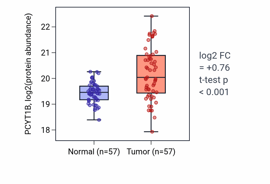 Tumor-vs-normal mass-spec protein box plot for PCYT1B in LSCC.