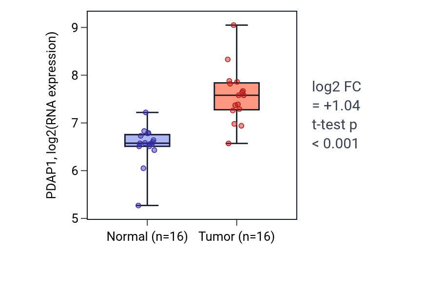 Tumor-vs-normal expression box plot for PDAP1 RNA in HNSC.