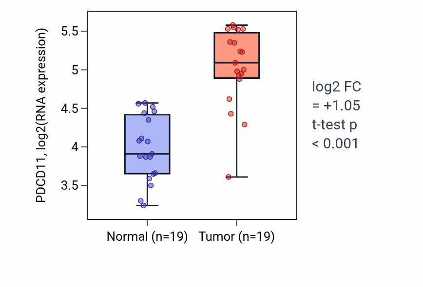 Tumor-vs-normal expression box plot for PDCD11 RNA in COAD.