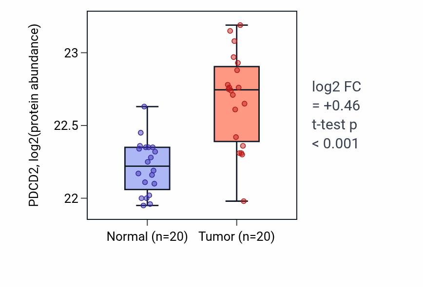 Tumor-vs-normal mass-spec protein box plot for PDCD2 in LSCC.