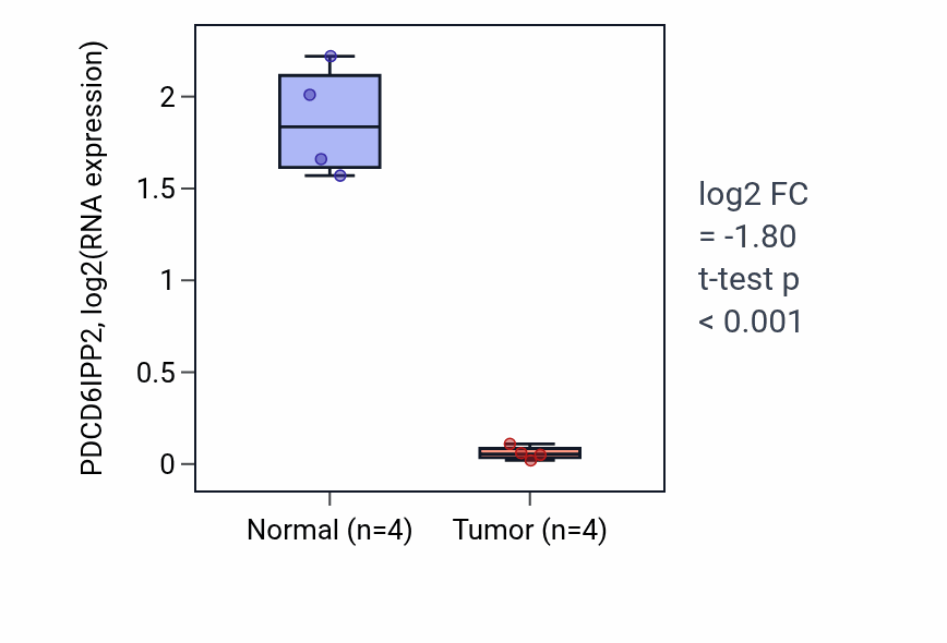 Tumor-vs-normal expression box plot for PDCD6IPP2 in THCA.