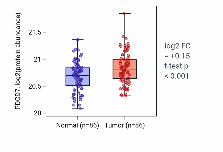 Tumor-vs-normal mass-spec protein box plot for PDCD7 in LSCC.
