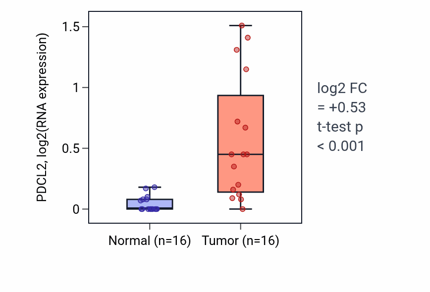 Tumor-vs-normal expression box plot for PDCL2 RNA in THCA.