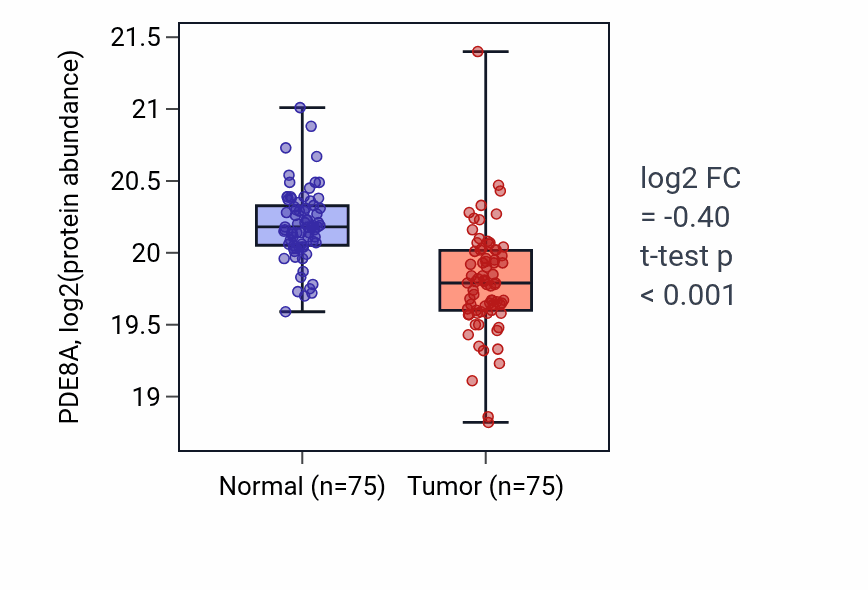 Tumor-vs-normal mass-spec protein box plot for PDE8A in LSCC.