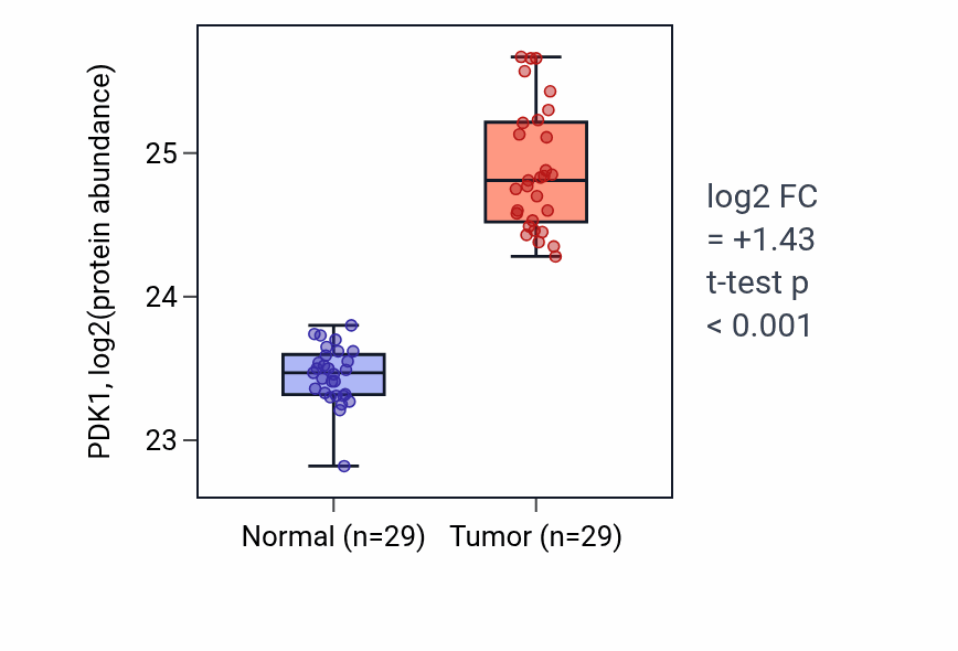 Tumor-vs-normal mass-spec protein box plot for PDK1 in CCRCC.