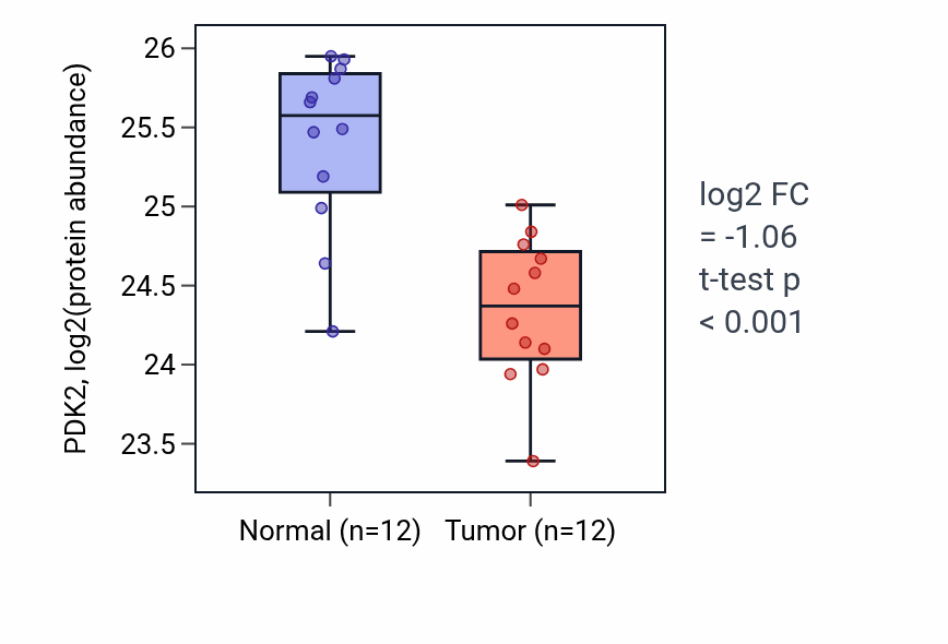 Tumor-vs-normal mass-spec protein box plot for PDK2 in CCRCC.