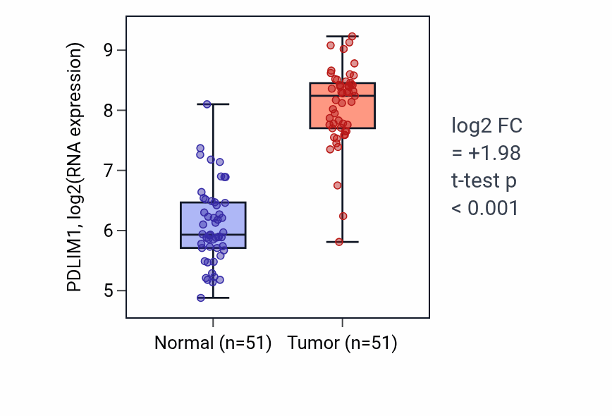 Tumor-vs-normal expression box plot for PDLIM1 RNA in KIRC.