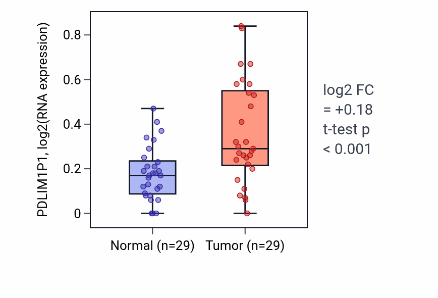 Tumor-vs-normal expression box plot for PDLIM1P1 in HNSC.