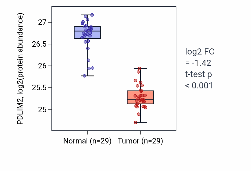 Tumor-vs-normal mass-spec protein box plot for PDLIM2 in CCRCC.