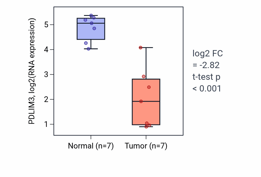 Tumor-vs-normal expression box plot for PDLIM3 RNA in THCA.