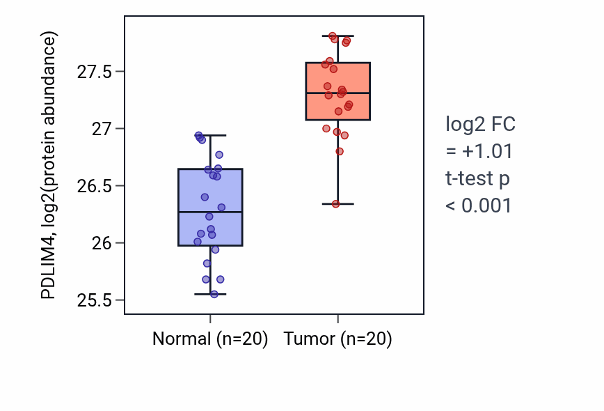 Tumor-vs-normal mass-spec protein box plot for PDLIM4 in PDAC.