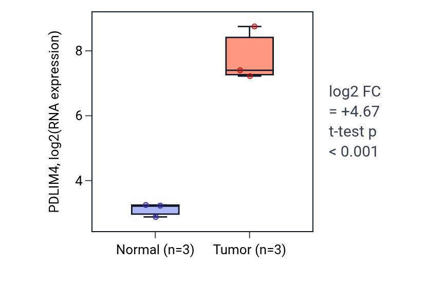 Tumor-vs-normal expression box plot for PDLIM4 RNA in THCA.