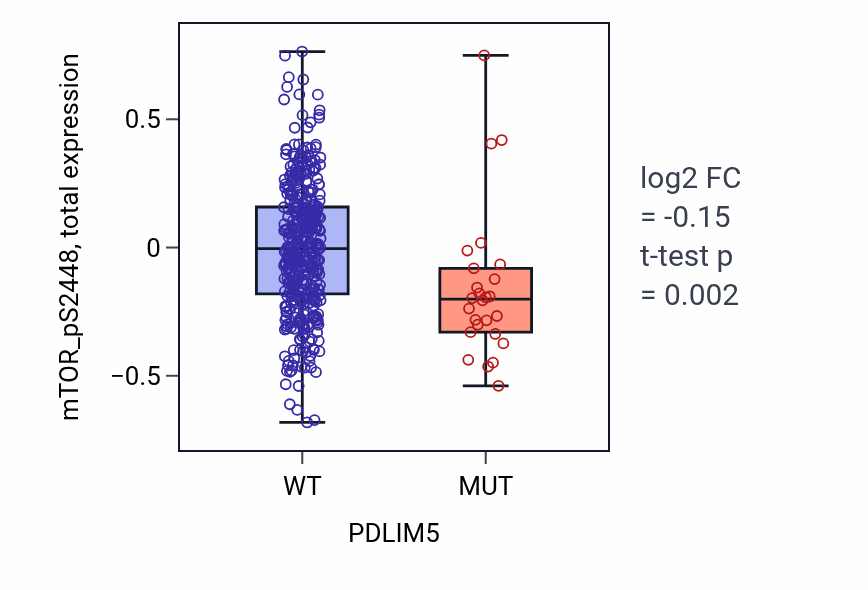 Box plot of mTOR_pS2448 in PDLIM5-low vs PDLIM5-high samples in UCEC.