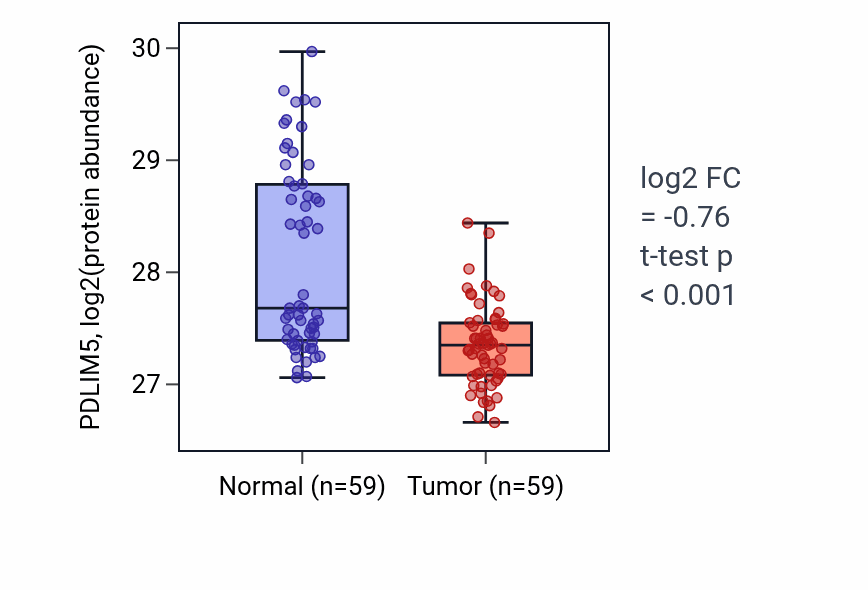 Tumor-vs-normal mass-spec protein box plot for PDLIM5 in HNSC.