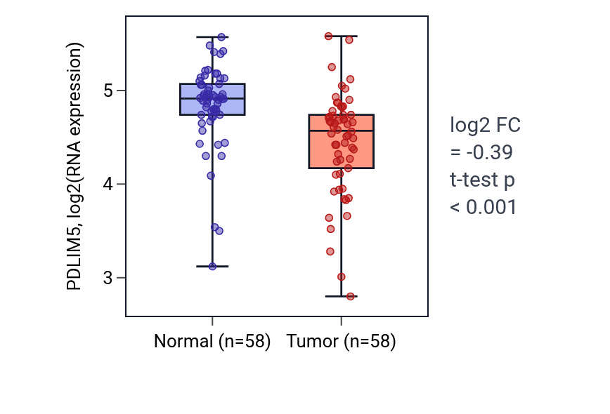 Tumor-vs-normal expression box plot for PDLIM5 RNA in THCA.
