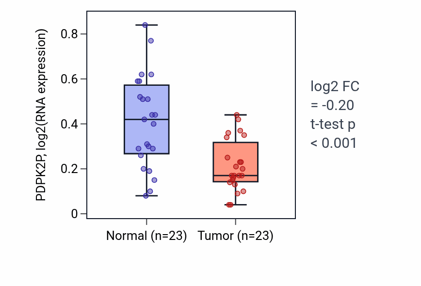 Tumor-vs-normal expression box plot for PDPK2P in THCA.