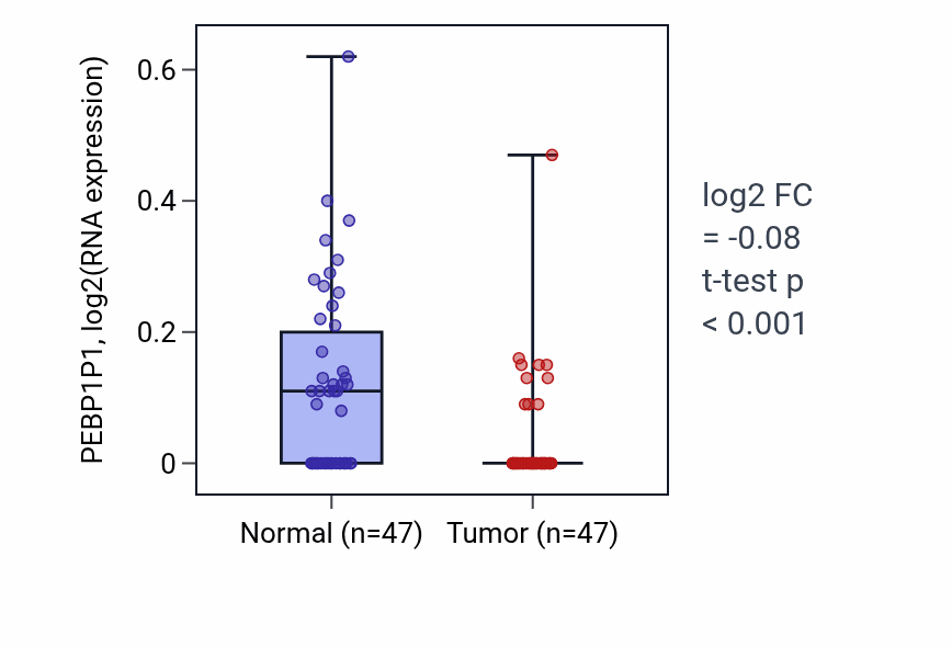 Tumor-vs-normal expression box plot for PEBP1P1 in KIRC.