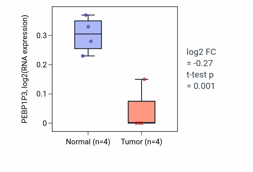 Tumor-vs-normal expression box plot for PEBP1P3 RNA in LUSC.
