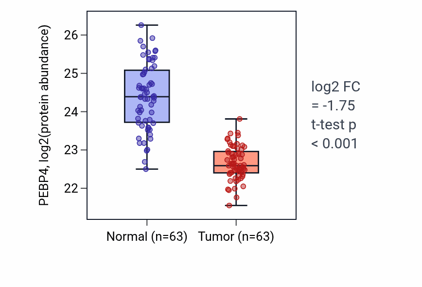 Tumor-vs-normal mass-spec protein box plot for PEBP4 in CCRCC.