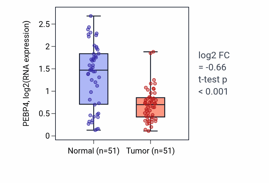 Tumor-vs-normal expression box plot for PEBP4 RNA in KIRC.