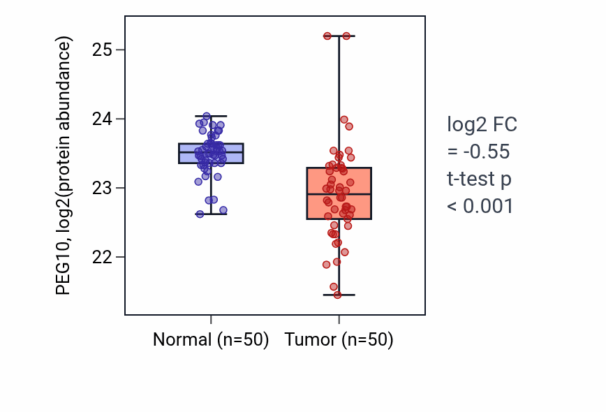 Tumor-vs-normal mass-spec protein box plot for PEG10 in LSCC.