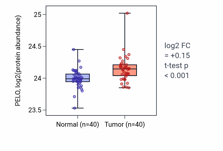 Tumor-vs-normal mass-spec protein box plot for PELO in CCRCC.