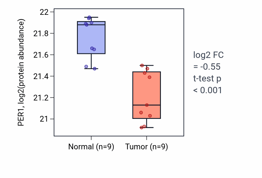 Tumor-vs-normal mass-spec protein box plot for PER1 in LSCC.