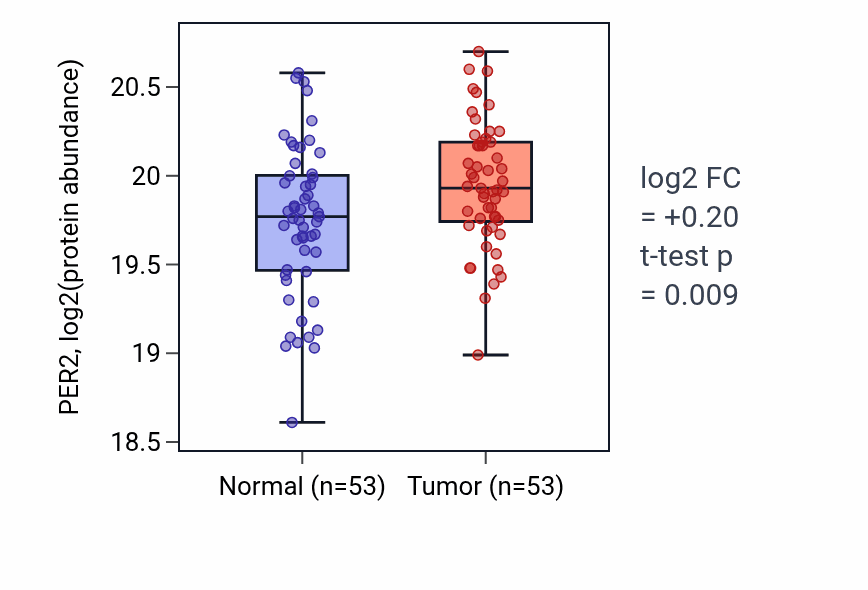 Tumor-vs-normal mass-spec protein box plot for PER2 in LSCC.