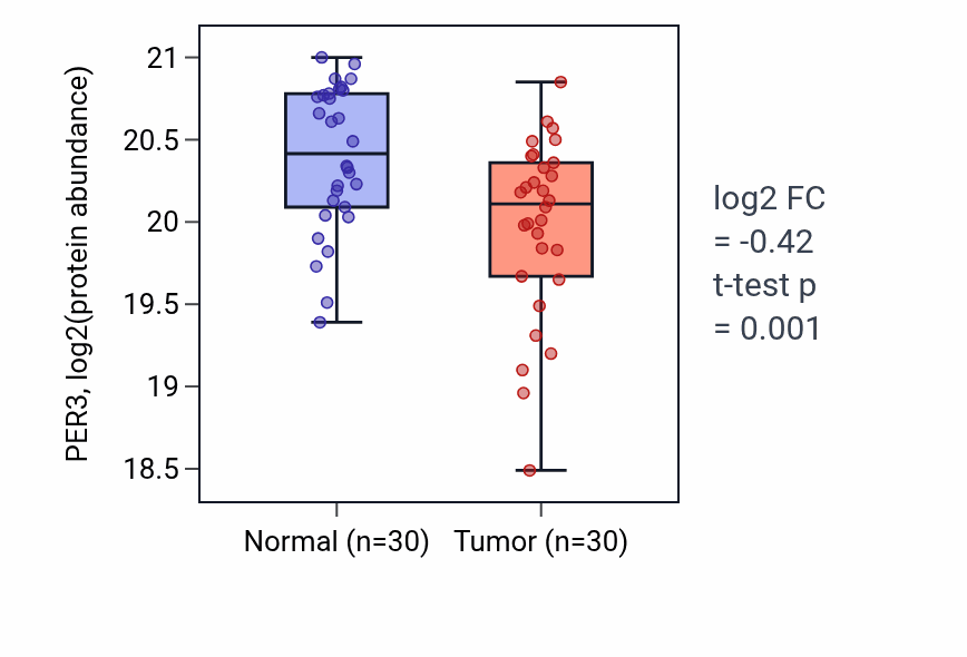 Tumor-vs-normal mass-spec protein box plot for PER3 in HNSC.