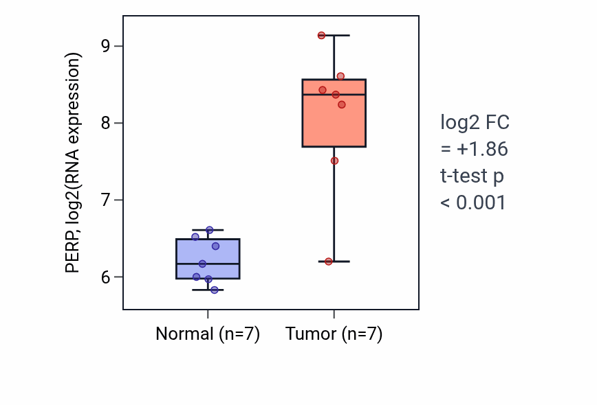 Tumor-vs-normal expression box plot for PERP RNA in THCA.