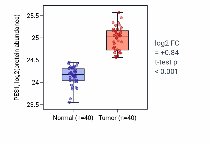 Tumor-vs-normal mass-spec protein box plot for PES1 in COAD.