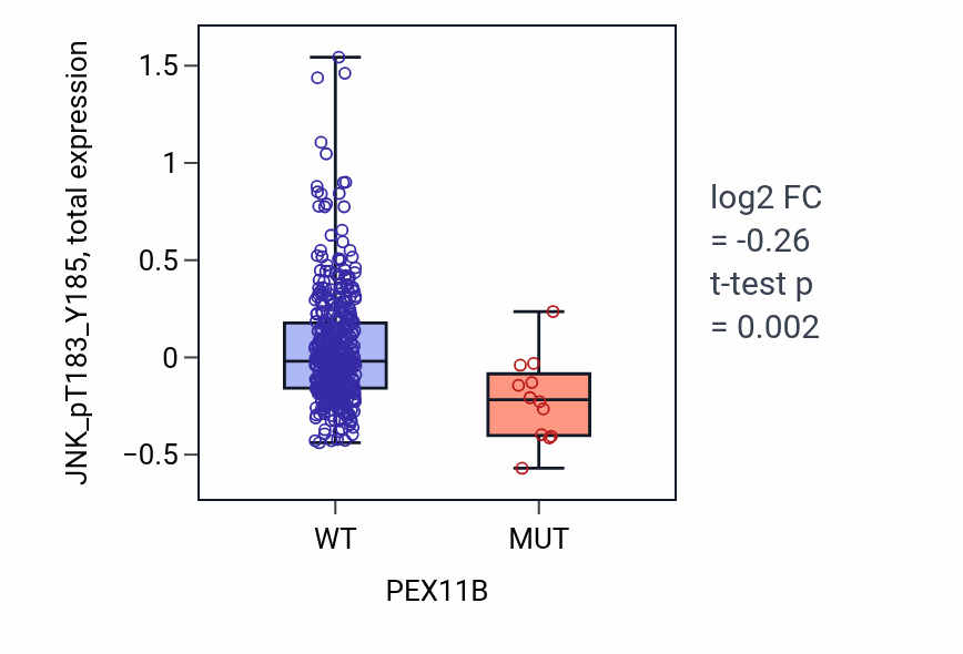Box plot of JNK_pT183_Y185 in PEX11B-low vs PEX11B-high samples in UCEC.