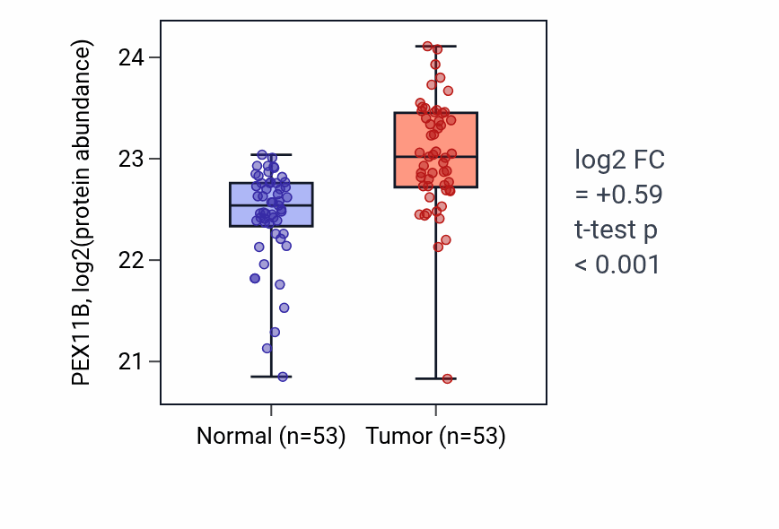 Tumor-vs-normal mass-spec protein box plot for PEX11B in HNSC.