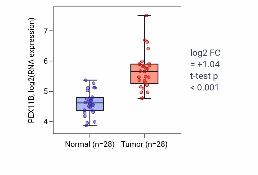 Tumor-vs-normal expression box plot for PEX11B RNA in LIHC.
